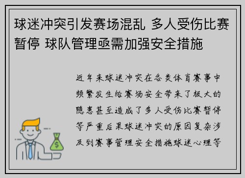 球迷冲突引发赛场混乱 多人受伤比赛暂停 球队管理亟需加强安全措施